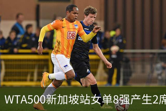 WTA500新加坡站女单8强产生2席，月亮姐赫瓦林斯卡6-0、6-1直接晋级，明天中国金花王欣瑜将争夺个人第三个8强